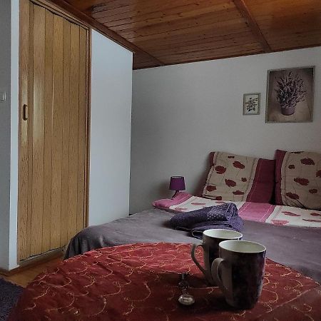 Home Stay Slotwinska Krynica Zdroj Bagian luar foto