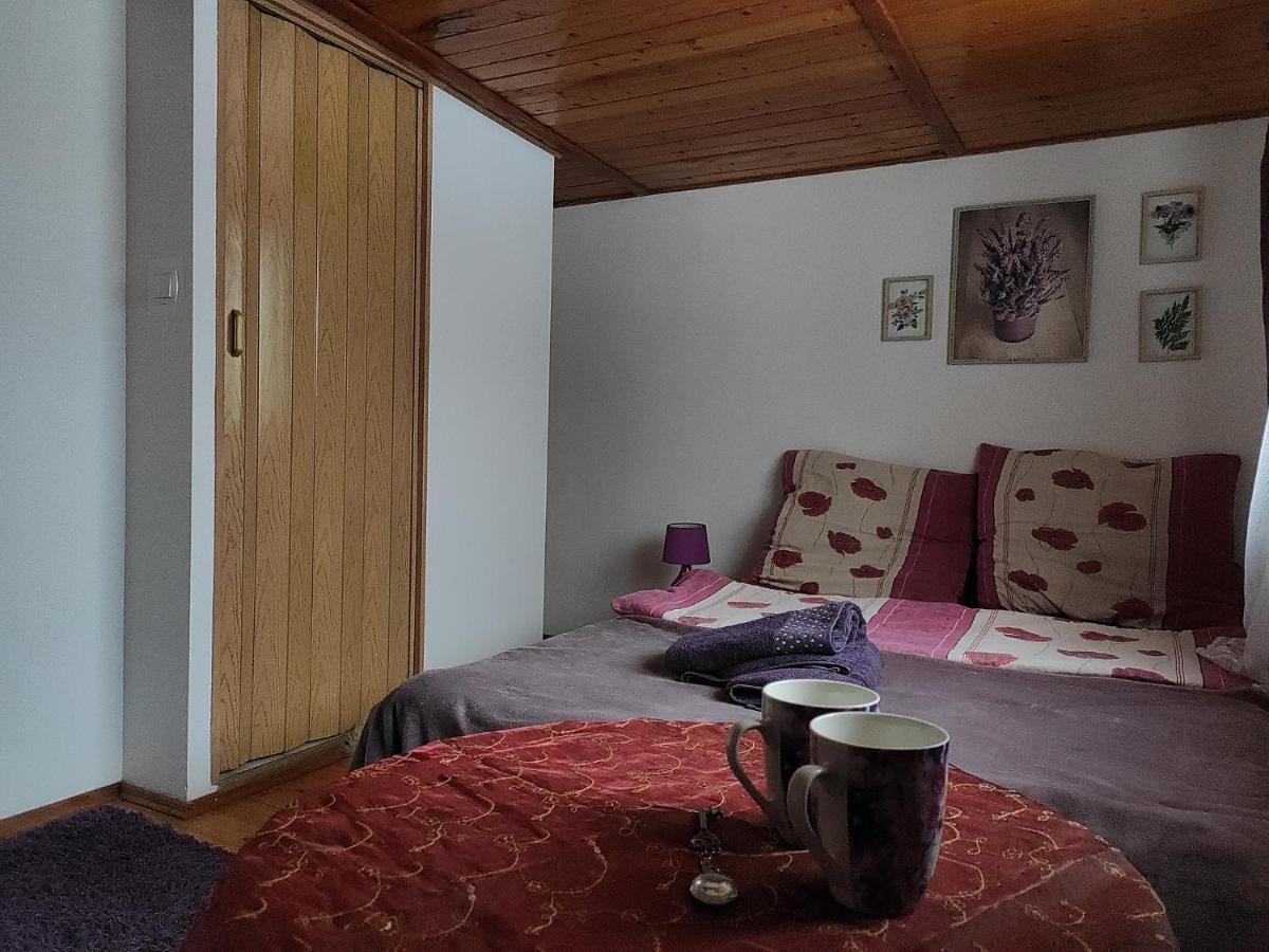 Home Stay Slotwinska Krynica Zdroj Bagian luar foto