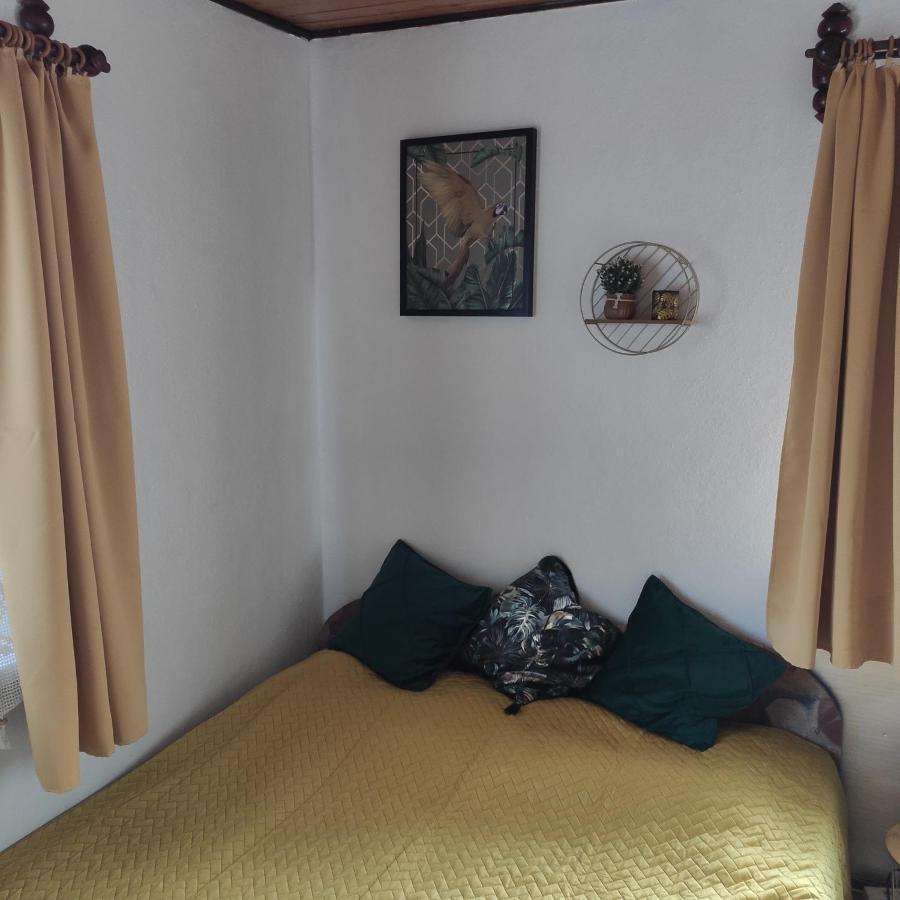 Home Stay Slotwinska Krynica Zdroj Bagian luar foto